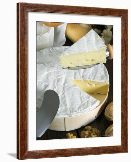 French Brie Cheese, France-Nico Tondini-Framed Photographic Print