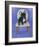 French Bull Dog-Carol Dillon-Framed Art Print