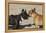 French Bulldog 06-Bob Langrish-Framed Premier Image Canvas