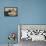 French Bulldog 06-Bob Langrish-Framed Premier Image Canvas displayed on a wall