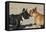 French Bulldog 06-Bob Langrish-Framed Premier Image Canvas