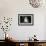 French Bulldog 43-Bob Langrish-Framed Photographic Print displayed on a wall