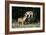 French Bulldog 47-Bob Langrish-Framed Photographic Print