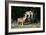 French Bulldog 47-Bob Langrish-Framed Photographic Print