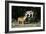 French Bulldog 47-Bob Langrish-Framed Photographic Print