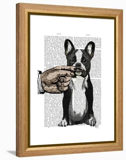 French Bulldog and Finger Moustache-Fab Funky-Framed Stretched Canvas