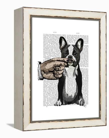 French Bulldog and Finger Moustache-Fab Funky-Framed Stretched Canvas