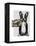 French Bulldog and Finger Moustache-Fab Funky-Framed Stretched Canvas