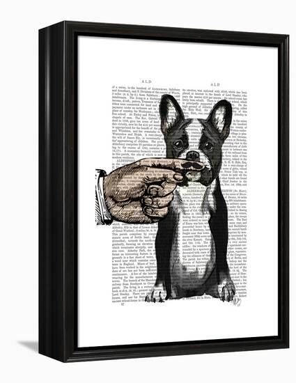 French Bulldog and Finger Moustache-Fab Funky-Framed Stretched Canvas