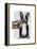 French Bulldog and Finger Moustache-Fab Funky-Framed Stretched Canvas