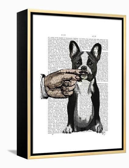 French Bulldog and Finger Moustache-Fab Funky-Framed Stretched Canvas