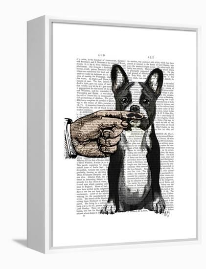 French Bulldog and Finger Moustache-Fab Funky-Framed Stretched Canvas