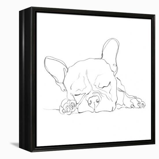 French Bulldog Contour I-Ethan Harper-Framed Stretched Canvas