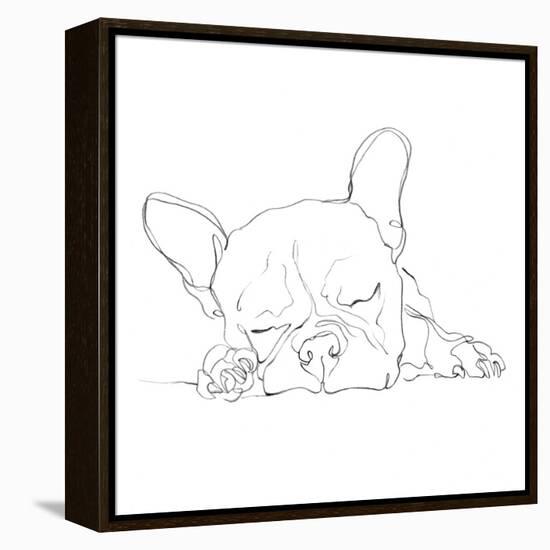 French Bulldog Contour I-Ethan Harper-Framed Stretched Canvas