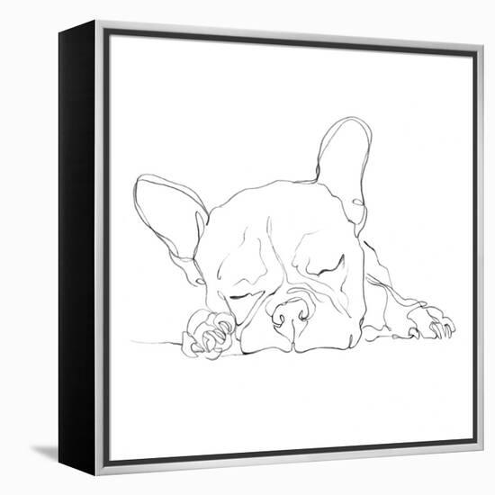 French Bulldog Contour I-Ethan Harper-Framed Stretched Canvas