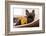 French Bulldog Dog Having a Sleeping and Relaxing a Siesta in Living Room, with Doggy Teddy Bear-Javier Brosch-Framed Photographic Print