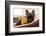 French Bulldog Dog Having a Sleeping and Relaxing a Siesta in Living Room, with Doggy Teddy Bear-Javier Brosch-Framed Photographic Print