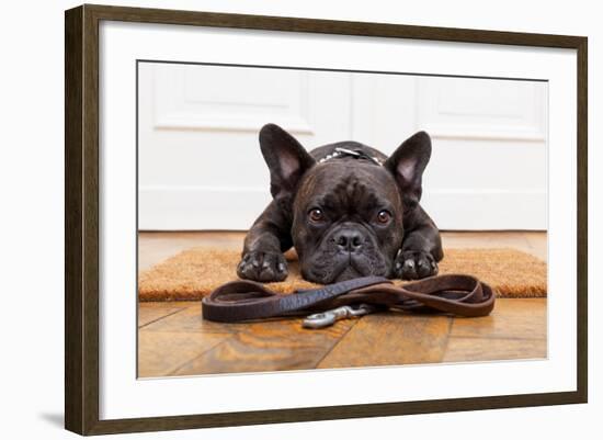 French Bulldog Dog Waiting and Begging to Go for a Walk with Owner , Sitting or Lying on Doormat-Javier Brosch-Framed Photographic Print