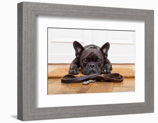 French Bulldog Dog Waiting and Begging to Go for a Walk with Owner , Sitting or Lying on Doormat-Javier Brosch-Framed Photographic Print