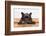 French Bulldog Dog Waiting and Begging to Go for a Walk with Owner , Sitting or Lying on Doormat-Javier Brosch-Framed Photographic Print