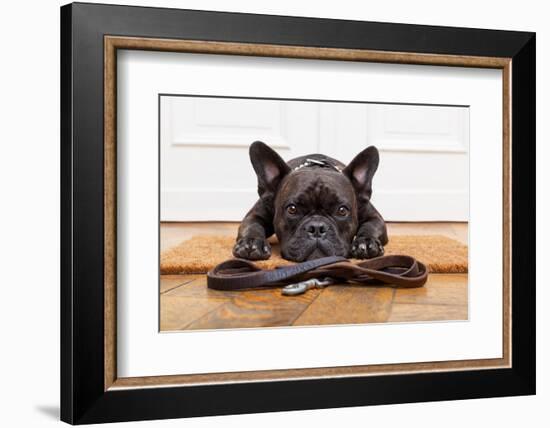 French Bulldog Dog Waiting and Begging to Go for a Walk with Owner , Sitting or Lying on Doormat-Javier Brosch-Framed Photographic Print