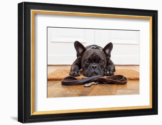 French Bulldog Dog Waiting and Begging to Go for a Walk with Owner , Sitting or Lying on Doormat-Javier Brosch-Framed Photographic Print