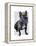 French Bulldog King-Fab Funky-Framed Stretched Canvas