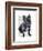 French Bulldog King-Fab Funky-Framed Art Print