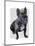 French Bulldog King-Fab Funky-Mounted Art Print