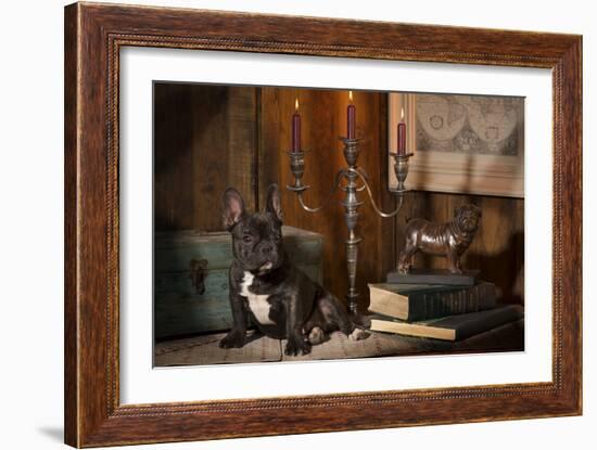 French Bulldog Next to Bronze of Dog and Candlesticks-null-Framed Photographic Print