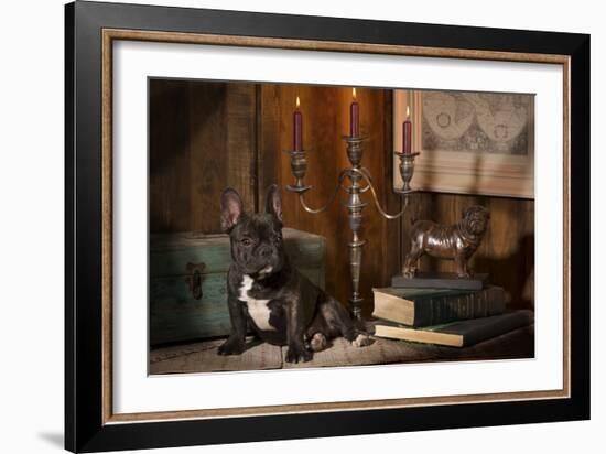 French Bulldog Next to Bronze of Dog and Candlesticks-null-Framed Photographic Print