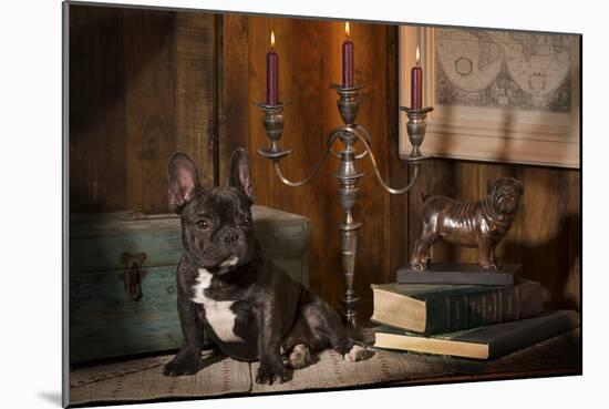 French Bulldog Next to Bronze of Dog and Candlesticks-null-Mounted Photographic Print