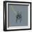 French Bulldog on Grey-Dominique Vari-Framed Art Print