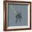 French Bulldog on Grey-Dominique Vari-Framed Premium Giclee Print