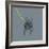 French Bulldog on Grey-Dominique Vari-Framed Art Print