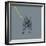 French Bulldog on Grey-Dominique Vari-Framed Art Print