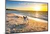 French Bulldog on the Beach at Sunset-Patryk Kosmider-Mounted Photographic Print