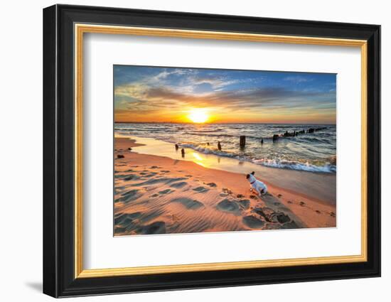 French Bulldog on the Beach at Sunset-Patryk Kosmider-Framed Photographic Print
