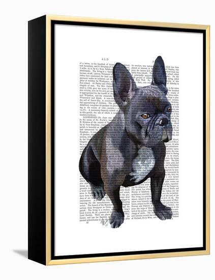 French Bulldog Plain-Fab Funky-Framed Stretched Canvas