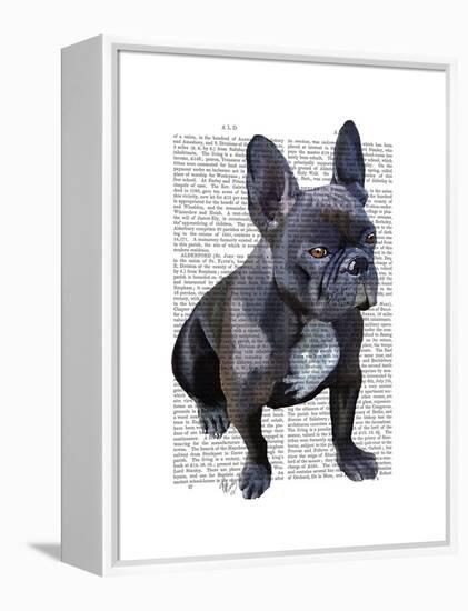 French Bulldog Plain-Fab Funky-Framed Stretched Canvas