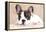 French Bulldog Puppy , 3 Months-Lilun-Framed Premier Image Canvas