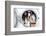 French Bulldog Puppy inside the Washing Machine-Patryk Kosmider-Framed Photographic Print