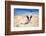 French Bulldog Puppy Running On The Beach-Patryk Kosmider-Framed Photographic Print