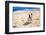 French Bulldog Puppy Running On The Beach-Patryk Kosmider-Framed Photographic Print