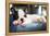 French Bulldog Puppy Sleeping on Knees-Patryk Kosmider-Framed Premier Image Canvas