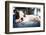 French Bulldog Puppy Sleeping on Knees-Patryk Kosmider-Framed Photographic Print