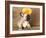 French Bulldog Puppy-Lilun-Framed Photographic Print