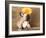 French Bulldog Puppy-Lilun-Framed Photographic Print