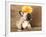 French Bulldog Puppy-Lilun-Framed Photographic Print