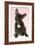 French Bulldog Puppy-null-Framed Photographic Print